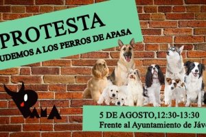 Los animalistas convocan una protesta en Xbia para salvar a la protectora APASA