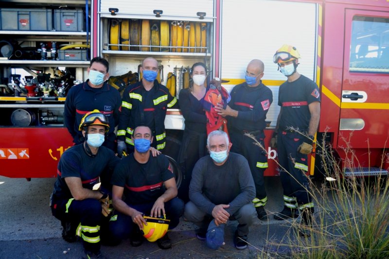 Los bomberos rescatan en Dnia a un cabritillo que qued atrapado en  una acequia subterrnea  
