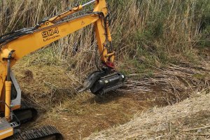 Medio Ambiente limpia la limpieza del Barranc de Fusta en Ondara 