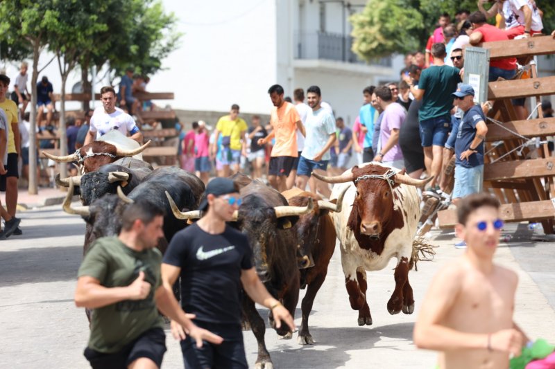 Benavent guanya el concurs de ramaderies del bous al carrer de Fogueres de Xbia