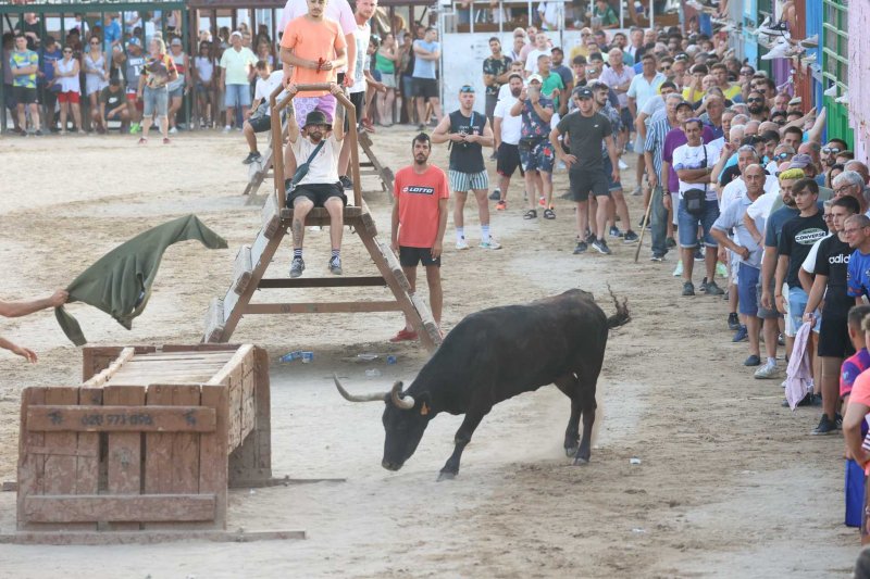 Sevillano passa per Xbia amb ms pena que glria, per Machancoses arregla lltima vesprada de bous al carrer de Fogueres